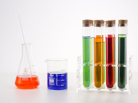 experiment setup